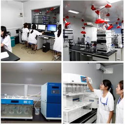 公司新聞 新藥與醫(yī)療器械一站式綜合服務CRO平臺發(fā)布